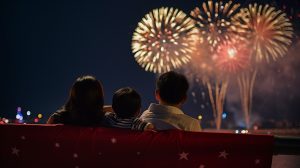 Fireworks for Sale with Big Shotter Fireworks
