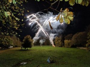 Garden Fireworks