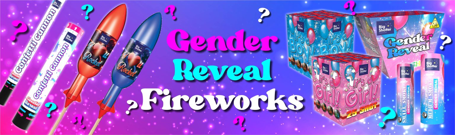 Web Banner Gender Reveal